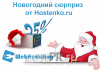Новогодние подарки от Hostenko
