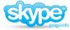 Skype — программа для бесплатного общения через Internet.