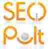 Комплексная раскрутка сайтов с помощью SeoPult