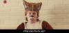 Новый музыкальный тренд Youtube — Ylvis «The Fox»