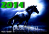 2014 год - год Синей Деревянной Лошади!