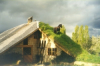 Озеленение крыши - оригинальный способ украсить свой дом!