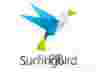 Surfingbird: персональный Интернет + раскрутка сайта | Блог Олега Зингера
