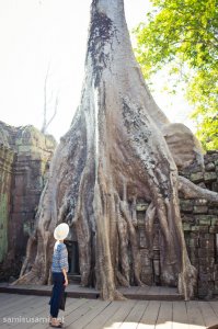 Экскурсия из Паттайи в Камбоджу (Ангкор Ват). Цена, программа, наш отзыв об экскурсии в Камбоджу из Паттайи. Как у нас забрали паспорта