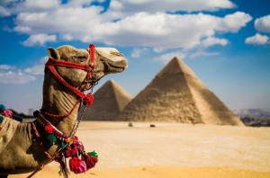Египет готовится принять первых туристов