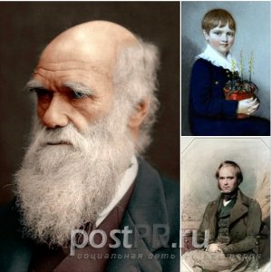 Почему 10 детей Чарльза Дарвина были слабыми или больными?