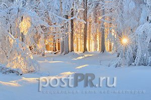 Короткие стихи Пушкина про зиму