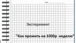 Мой опыт: удалось ли прожить на одну тысячу рублей в неделю