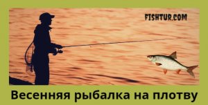 Весенняя рыбалка на плотву, особенности ее лова
