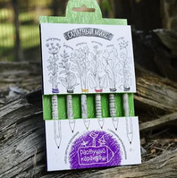 Чудо-карандаши для рисования и выращивания прованских трав